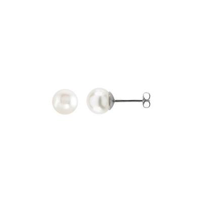 14K White 8.0-8.5 mm Freshwater Cultured Pearl Stud Earrings