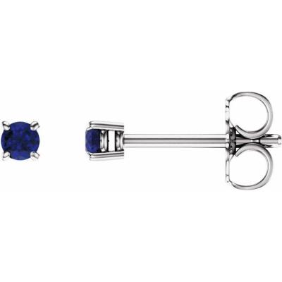 Ladies 14K White 2.5 mm Round Blue Sapphire Earrings