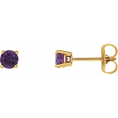 Ladies 14K Yellow Gold 4 mm Round Amethyst Earrings