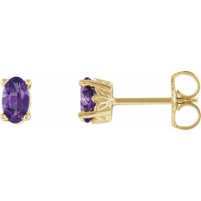 Ladies 14K Yellow Gold Amethyst Earrings